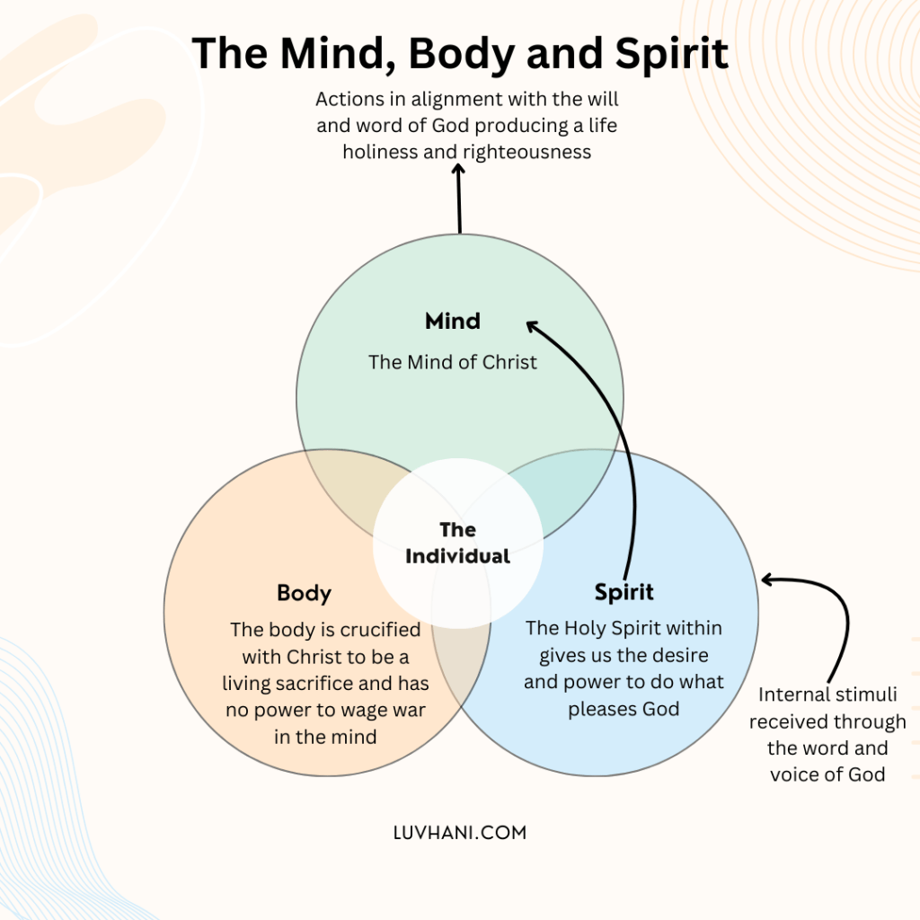 The mind, body and spirit