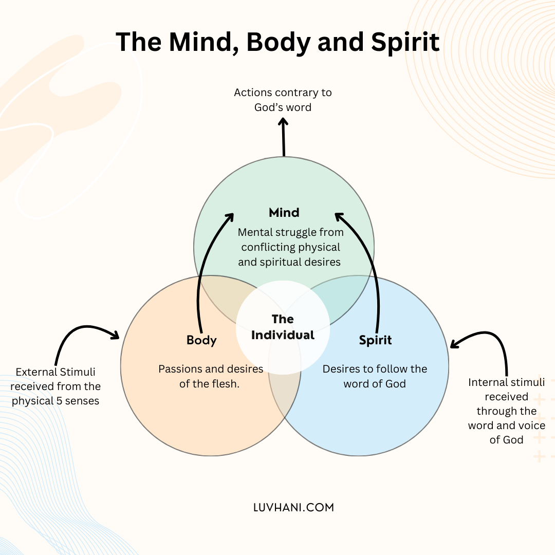 The mind, body and spirit