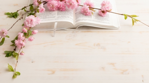 Discover the meaning of "Fear the LORD" and how this ultimately leads to a life that glorifies the Father.