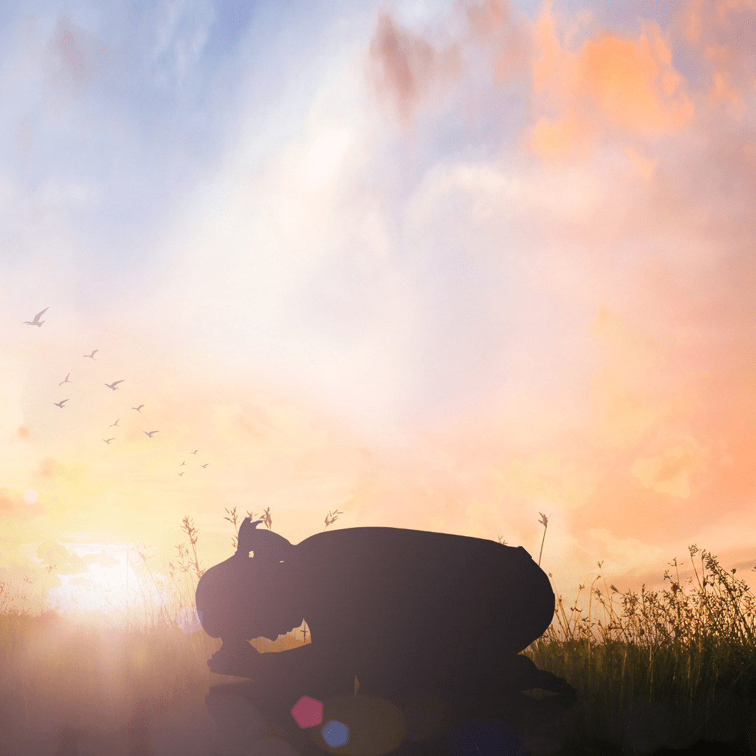 The Mary and Martha story - A call to worship and making Jesus Christ Lord over your life. 